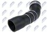 GPP-BM-076_2-WM.JPG