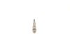 Diesel Glow Plug 0250202008