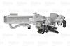 EGR_MODULE_700441_04.JPG