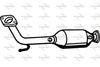 P9293CAT.JPG