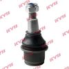 KYB-KBJ4083.JPG