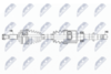 NPW-RE-179_9-WM.PNG