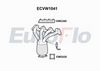 ecvw1041.JPG