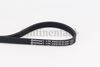 BELTPIC_4PK830 ELAST.JPG