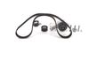Bosch Water Pump & Timing Belt Kit 1 987 946 929 (1987946929)