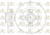 6698-20-MODEL.BMP