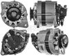 BBA2266_333565.JPG