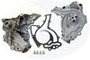 EWP395_633275.JPG