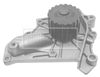 BWP1444_187322.JPG