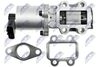 EGR-TY-007_4-WM.JPG