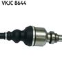 VKJC 8644_3.JPG
