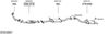 SYS10967.JPG