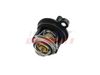 Thermostat, Ölkühlung