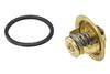 Wahler Thermostat, coolant 4008.79D