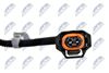 EGT-PL-019_3-WM.JPG