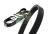 BGA V-Ribbed Belt 4PK711E