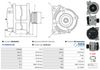 A0036(SEG)_256960.JPG