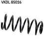 VKDL 85016.JPG