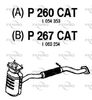 P267CAT.JPG