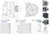A01167(SEG)_256960.JPG