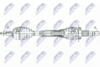 NPW-VV-057_9-WM.PNG