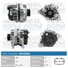 5515353.JPG