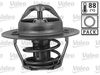 820056.JPG