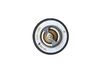 Termostat, chladivo 725174
