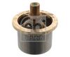 Termostat, chladivo 46333