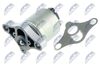 EGR-PL-000_2-WM.JPG