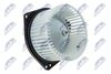 EWN-MS-001_1-WM.JPG