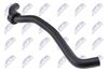 cpp-vw-062_2-wm.JPG