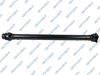 PS900331.JPG