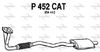 P452CAT.JPG