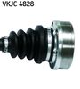 VKJC 4828_3.JPG