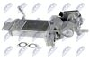 EGR-VW-023_1-WM.JPG