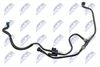 BPP-FR-005_3-WM.JPG