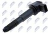 ecz-vw-028_1-wm.JPG