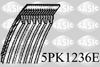 5PK1236E.JPG
