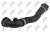 CPP-BM-010_2-WM.JPG
