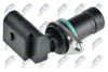 ECP-BM-008_2-WM.JPG
