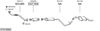SYS16860.JPG