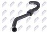 cpp-vw-066_1-wm.JPG