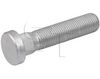 Šroub kola 11.010.3002.760