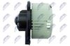 EWN-TY-009_3-WM.JPG