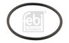 Těsnicí kroužek, čep nápravy 29737