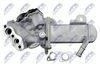 EGR-FR-009_6-WM.JPG