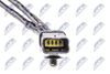 EGT-CT-005_3-WM.JPG