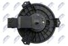 EWN-TY-002_5-WM.JPG