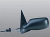 SHF_6164409_WR.JPG